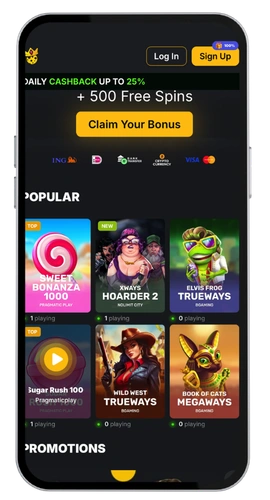 Kaasino Casino mobiel